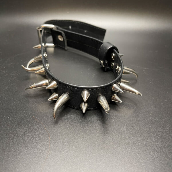 Dog collar with spikes.