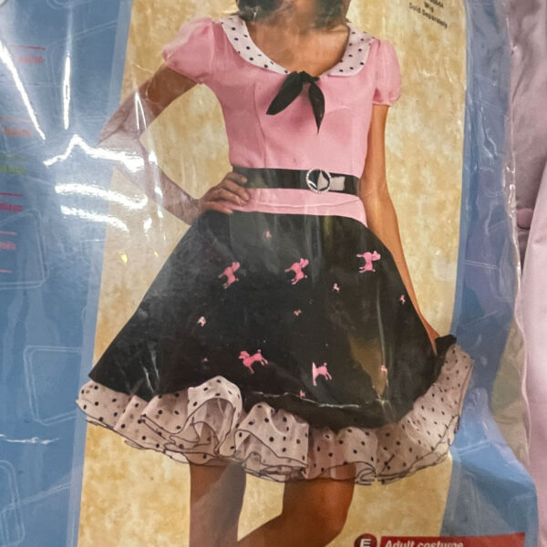 Adult lady Fifties dress costume on the cover of a plastic package.