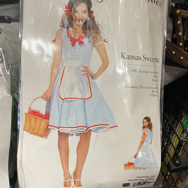 Adult lady dressed as Dorothy from the Wizard of Oz on the cover of a plastic package.