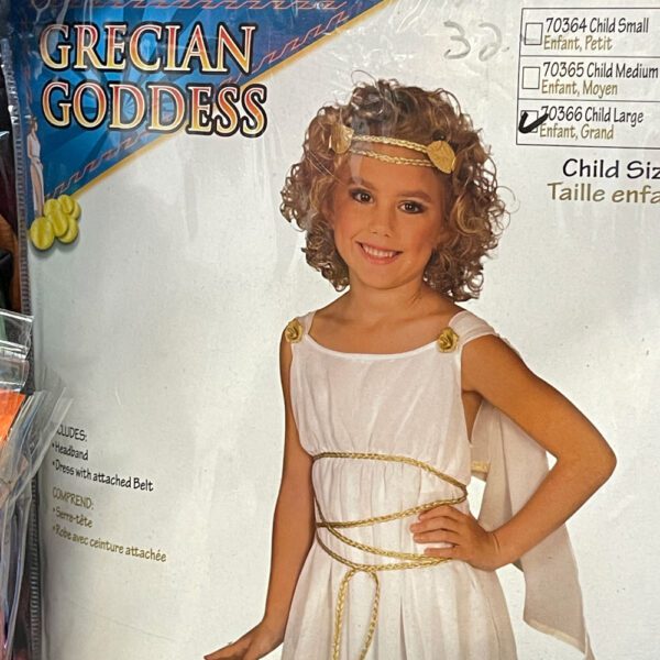 Young girl in a Princess costume on the cover of a plastic package.
