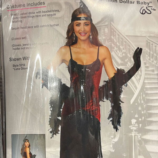 Adult lady dress in a twenties costume on the cover of a plastic package.